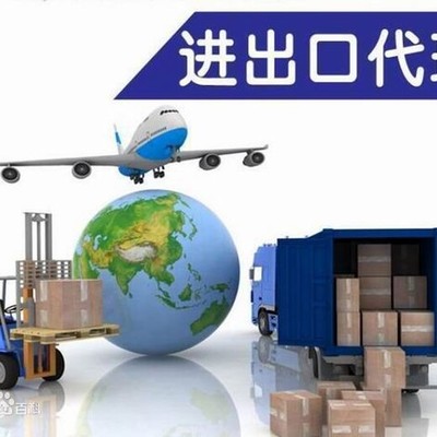 阿聯酋清關與報關 專業(yè)進出口代理的關鍵角色